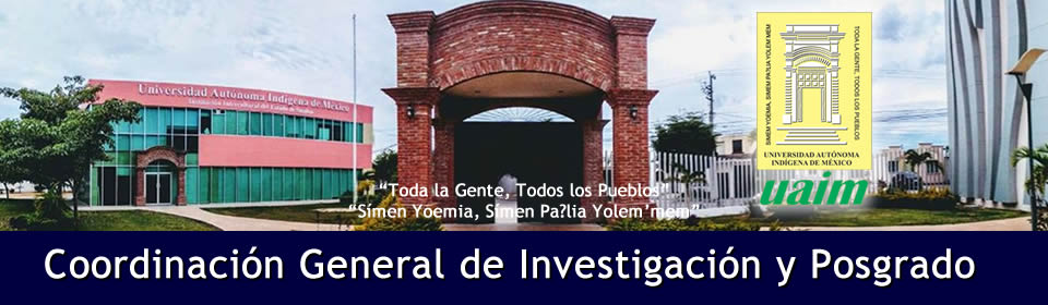 banner cgip2020blue